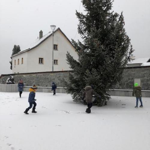 Schnee am 1. Dezember