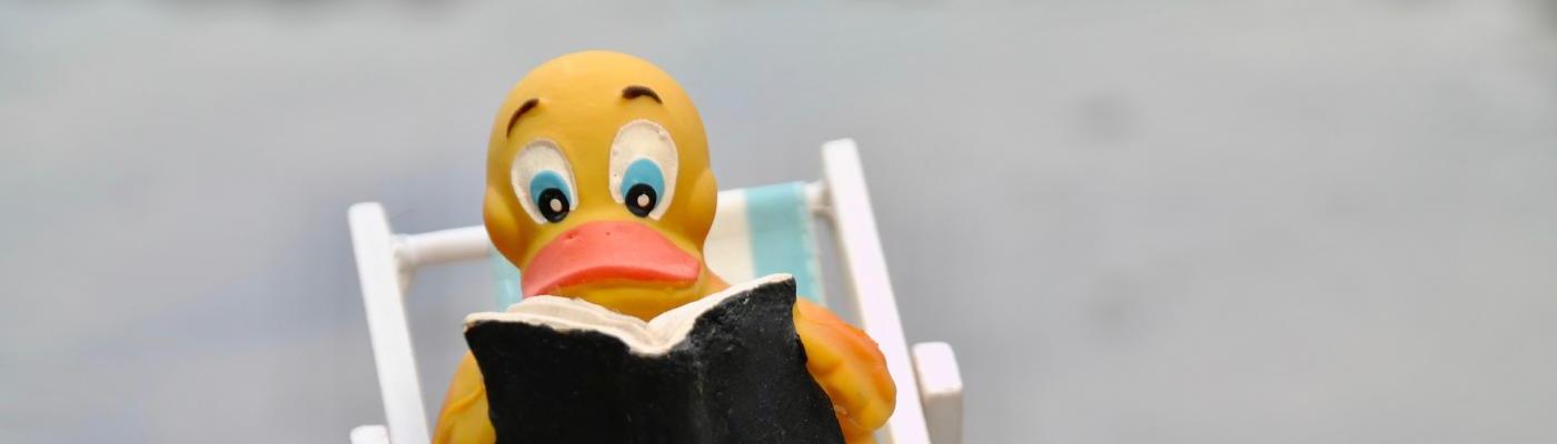 read ente